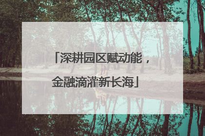 深耕园区赋动能，金融滴灌新长海