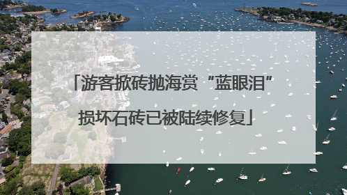 游客掀砖抛海赏“蓝眼泪” 损坏石砖已被陆续修复