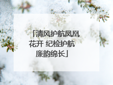 清风护航凤凰花开 纪检护航廉韵绵长