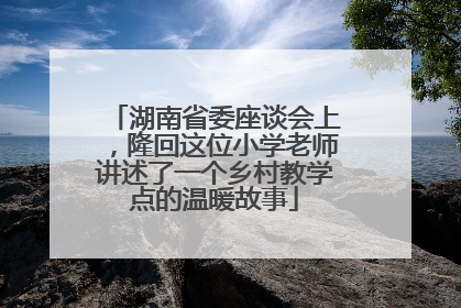 湖南省委座谈会上，隆回这位小学老师讲述了一个乡村教学点的温暖故事