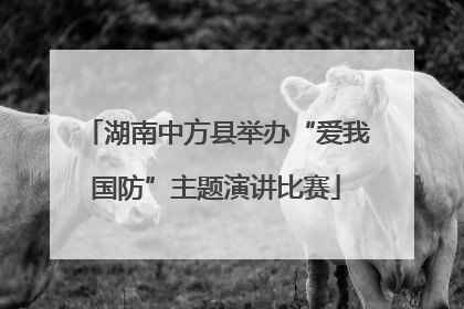 湖南中方县举办“爱我国防”主题演讲比赛