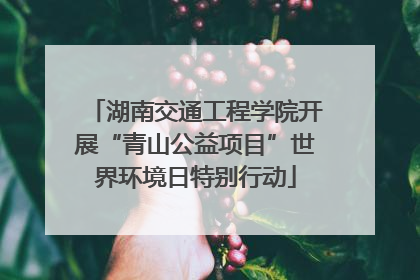 湖南交通工程学院开展“青山公益项目”世界环境日特别行动