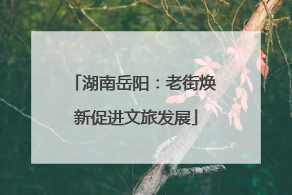 湖南岳阳：老街焕新促进文旅发展