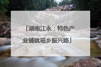 湖南江永：特色产业铺就瑶乡振兴路