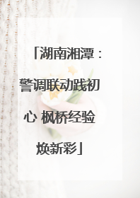 湖南湘潭：警调联动践初心 枫桥经验焕新彩