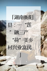 湖南衡阳县：一“莲”融三产 “荷”美乡村兴业富民