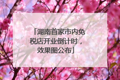 湖南首家市内免税店开业倒计时，效果图公布