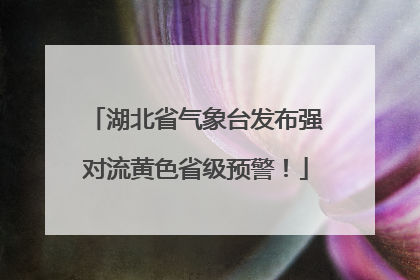 湖北省气象台发布强对流黄色省级预警！