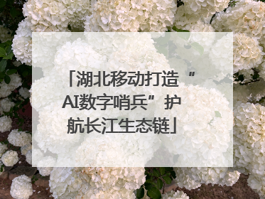 湖北移动打造“AI数字哨兵”护航长江生态链