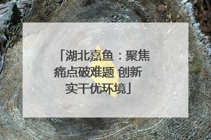 湖北嘉鱼：聚焦痛点破难题 创新实干优环境