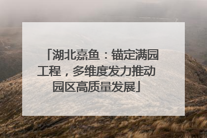 湖北嘉鱼：锚定满园工程，多维度发力推动园区高质量发展
