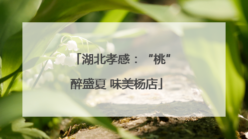 湖北孝感：“桃”醉盛夏 味美杨店