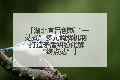 湖北宜昌创新“一站式”多元调解机制 打造矛盾纠纷化解“终点站”