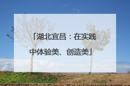 湖北宜昌：在实践中体验美、创造美