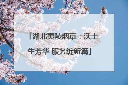 湖北夷陵烟草：沃土生芳华 服务绽新篇