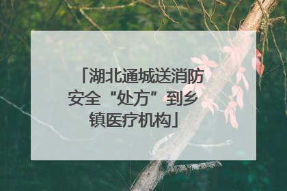 湖北通城送消防安全“处方”到乡镇医疗机构