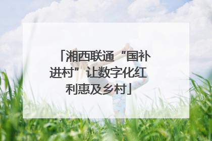 湘西联通“国补进村”让数字化红利惠及乡村