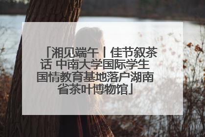 湘见端午丨佳节叙茶话 中南大学国际学生国情教育基地落户湖南省茶叶博物馆