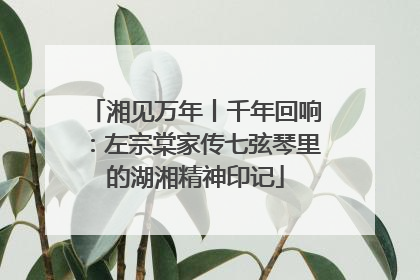 湘见万年丨千年回响：左宗棠家传七弦琴里的湖湘精神印记