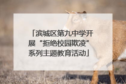 滨城区第九中学开展“拒绝校园欺凌”系列主题教育活动