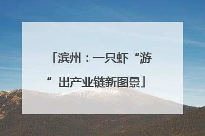 滨州：一只虾“游”出产业链新图景