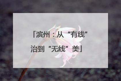 滨州：从“有线”治到“无线”美