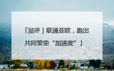 漫评｜联通亚欧，跑出共同繁荣“加速度”