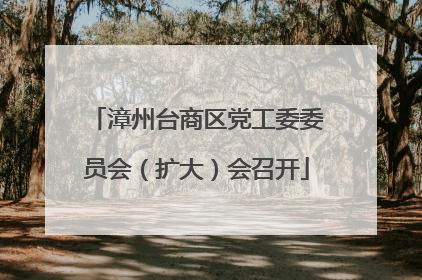 漳州台商区党工委委员会（扩大）会召开