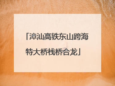 漳汕高铁东山跨海特大桥栈桥合龙