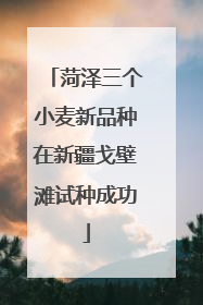菏泽三个小麦新品种在新疆戈壁滩试种成功