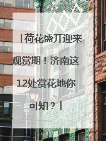 荷花盛开迎来观赏期！济南这12处赏花地你可知？