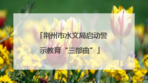荆州市水文局启动警示教育“三部曲”