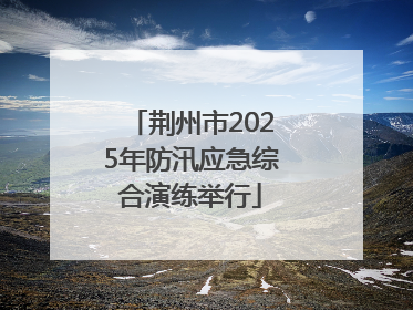 荆州市2025年防汛应急综合演练举行