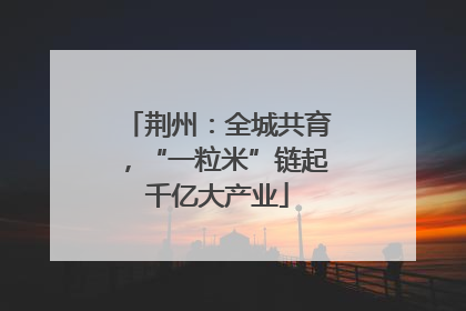 荆州：全城共育，“一粒米”链起千亿大产业