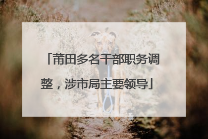 莆田多名干部职务调整，涉市局主要领导