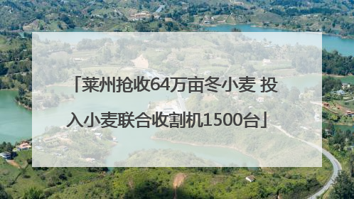 莱州抢收64万亩冬小麦 投入小麦联合收割机1500台
