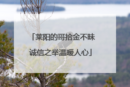 莱阳的哥拾金不昧 诚信之举温暖人心