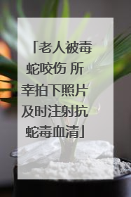 老人被毒蛇咬伤 所幸拍下照片及时注射抗蛇毒血清
