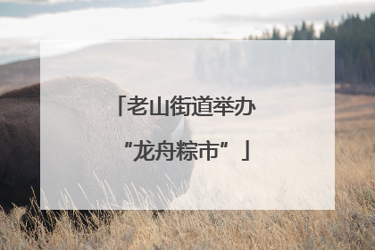 老山街道举办“龙舟粽市”