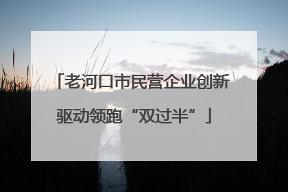 老河口市民营企业创新驱动领跑“双过半”