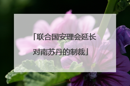联合国安理会延长对南苏丹的制裁
