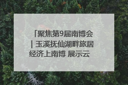 聚焦第9届南博会｜玉溪抚仙湖畔旅居经济上南博 展示云南生活新样本
