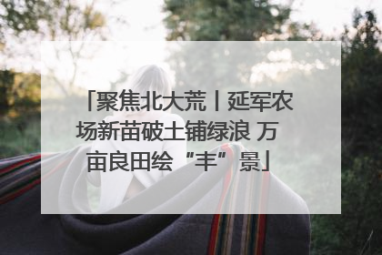 聚焦北大荒丨延军农场新苗破土铺绿浪 万亩良田绘“丰”景
