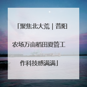 聚焦北大荒｜普阳农场万亩稻田夏管工作科技感满满
