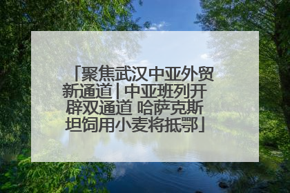 聚焦武汉中亚外贸新通道│中亚班列开辟双通道 哈萨克斯坦饲用小麦将抵鄂