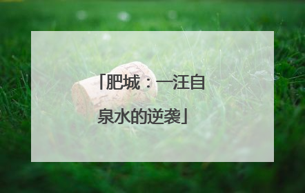 肥城：一汪自泉水的逆袭