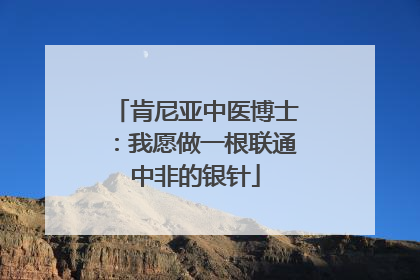 肯尼亚中医博士：我愿做一根联通中非的银针