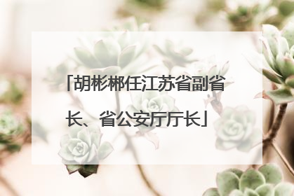 胡彬郴任江苏省副省长、省公安厅厅长