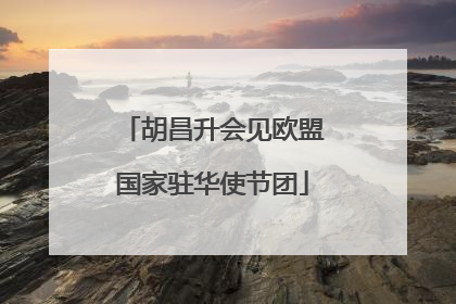 胡昌升会见欧盟国家驻华使节团