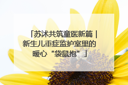 苏沭共筑童医新篇｜新生儿重症监护室里的暖心“袋鼠抱”